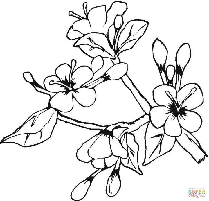 Blooming Flowers in May Coloring Page