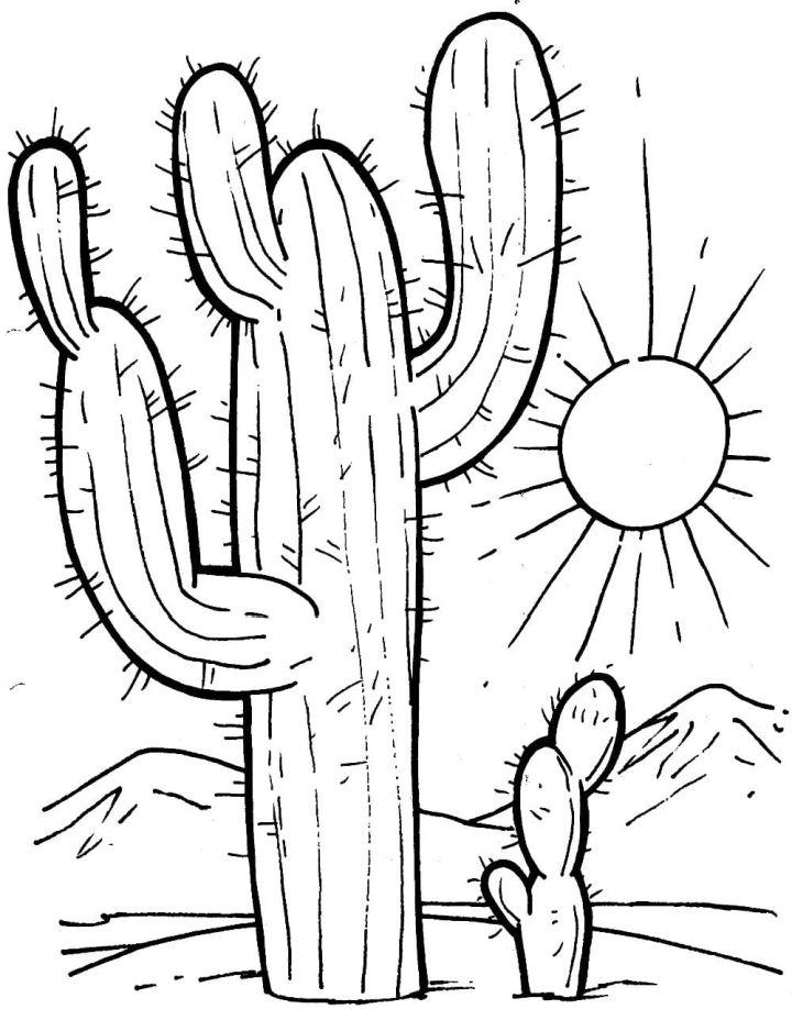Cactus Coloring Book Pages