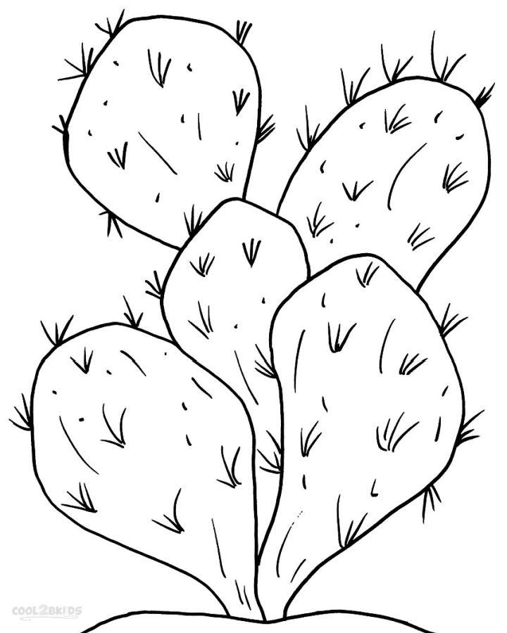 Cactus Coloring Pages and Printables
