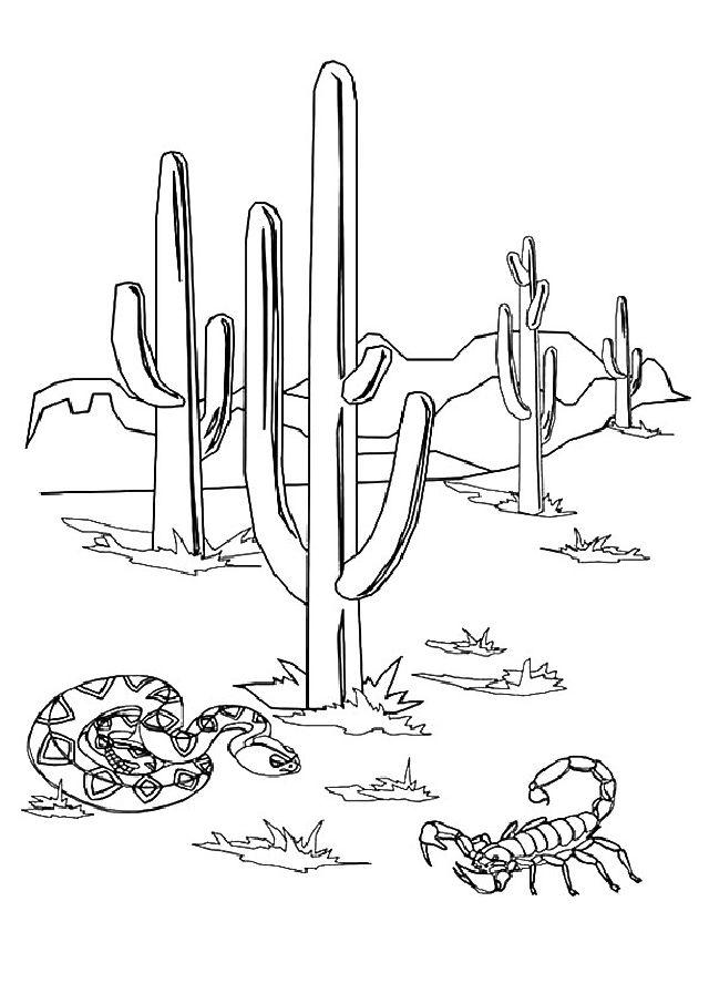 Cactus Coloring Pages for Toddlers