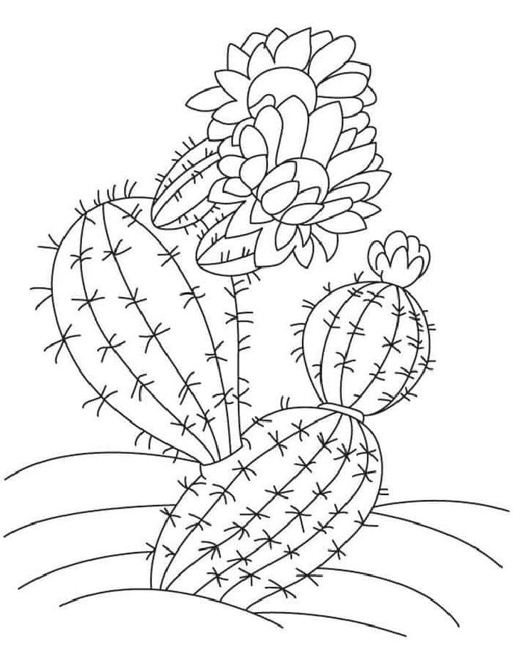 Cactus Coloring Pages to Print