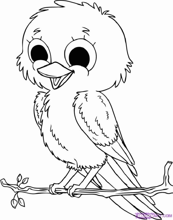 Cartoon Bird Coloring Pages Tracer Pages and Posters