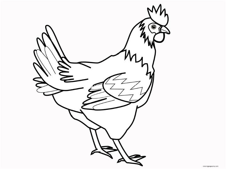 Cartoon Chicken Coloring Pages