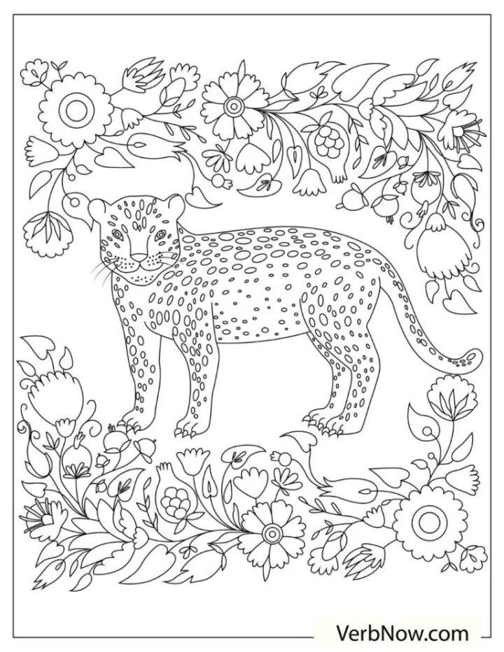 Cheetah Coloring Pages for Adults