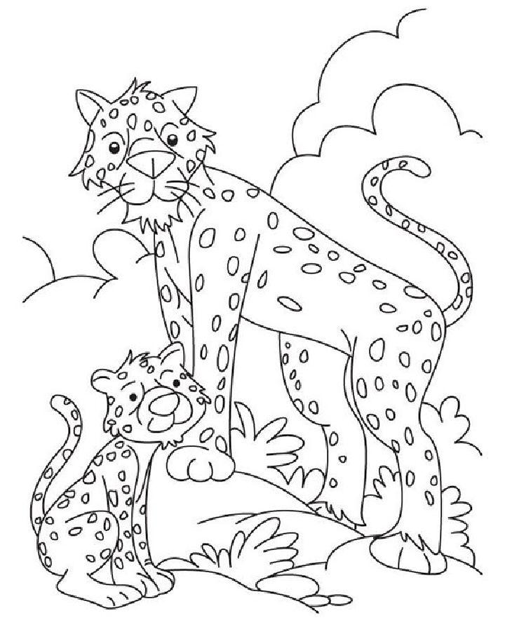 Cheetah Coloring Pages for Kids