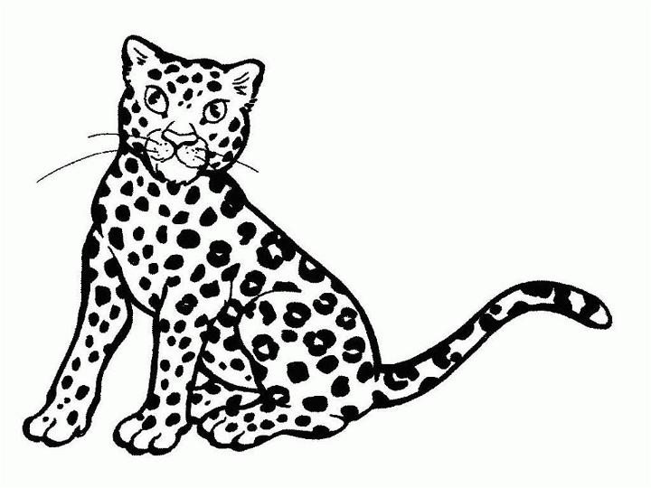Cheetah Coloring Pages for Toddlers