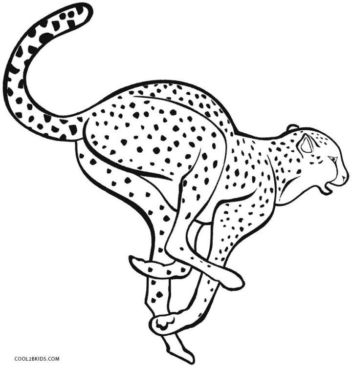 Cheetah Coloring Book Pages