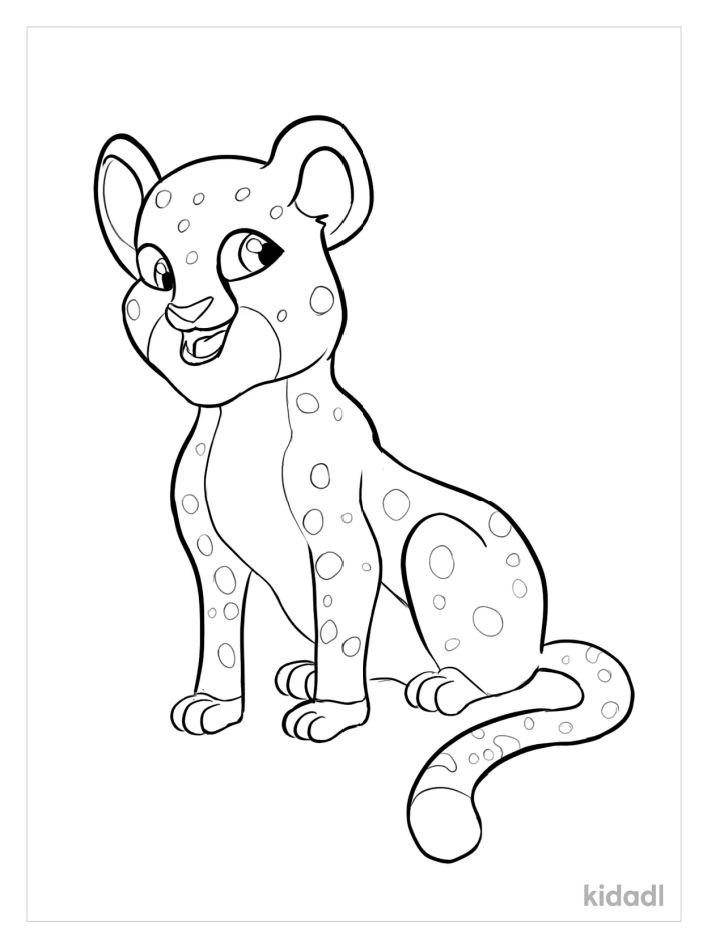  Cheetah Pictures to Color 