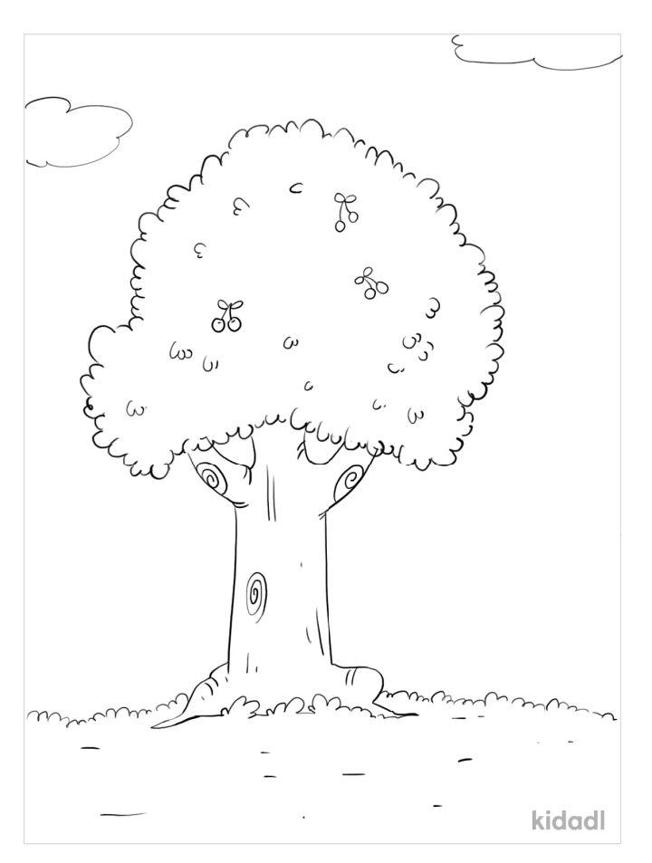 Cherry Tree Coloring Pages
