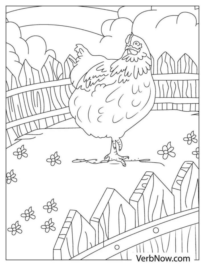 Chicken Coloring Pages for Adults