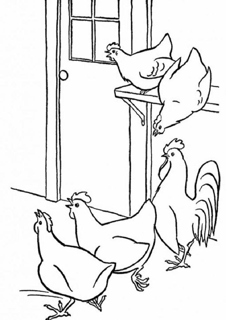 Chicken Coloring Sheet to Color