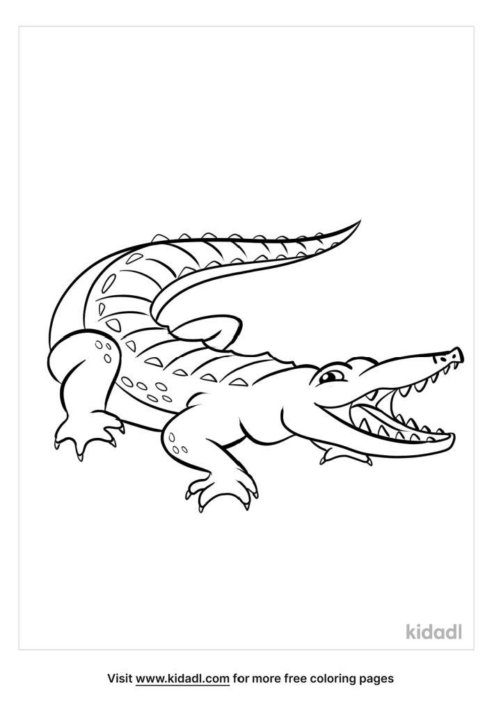 Coloring Pages of Alligator