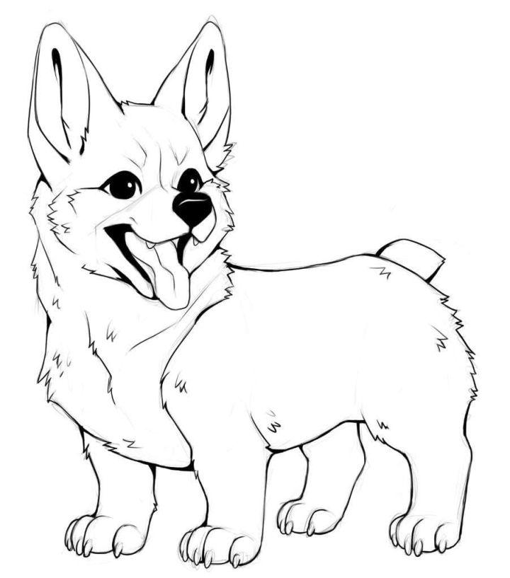 Coloring Pages of Corgi