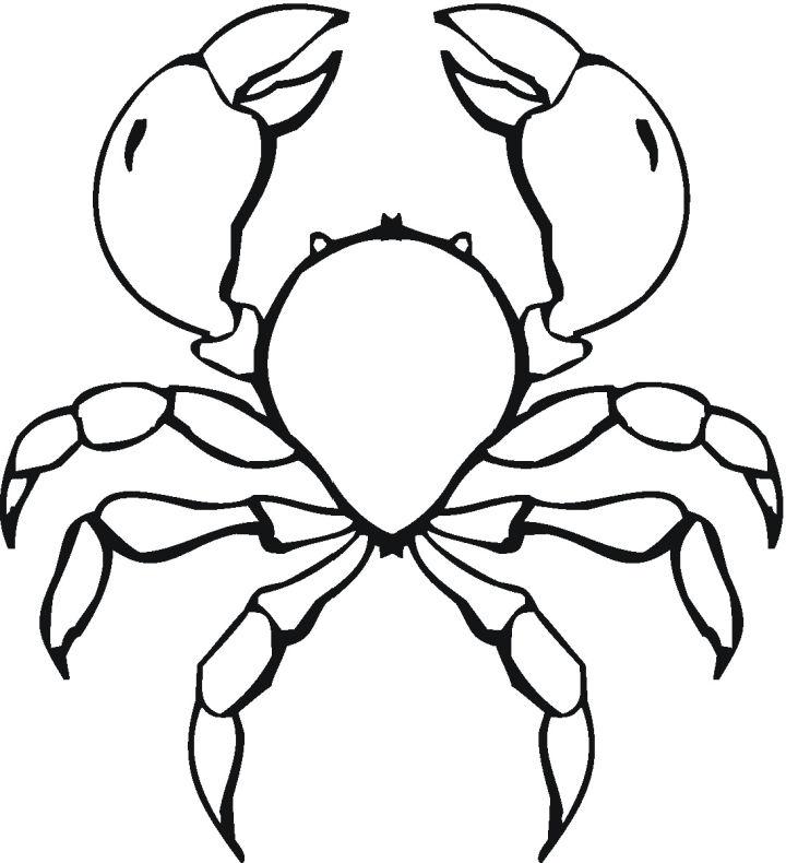 Coloring Pages of Crab
