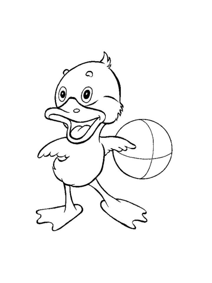 Easy Coloring Pages of Duck