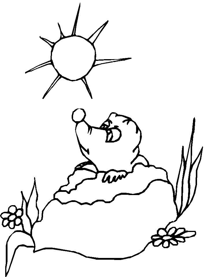 Coloring Pages of Groundhog Day