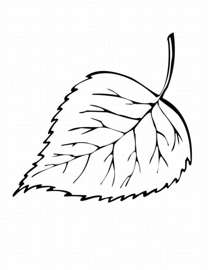 Coloring Pages of Leaf