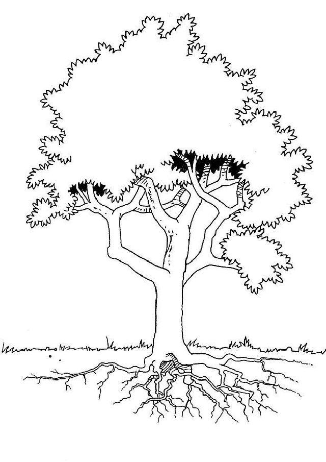 Coloring Pages of Trees