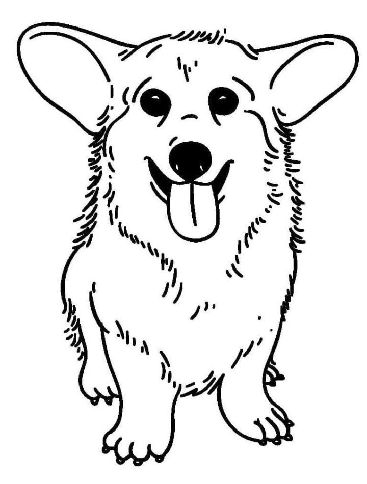 Corgi Coloring Pages, Tracer Pages, and Posters