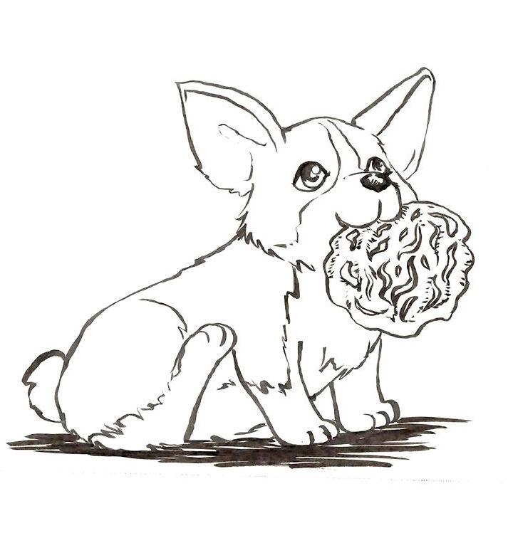 Corgi Pictures to Color and Print