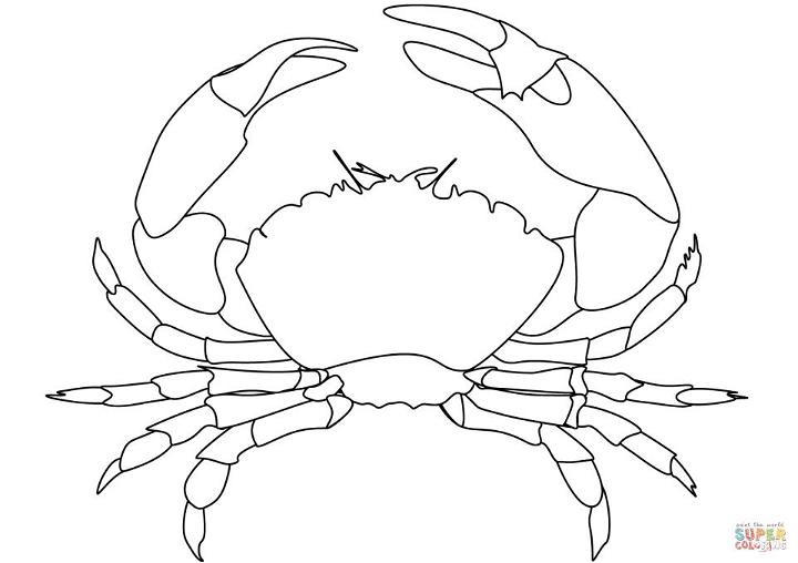 Crab Coloring Book Pages