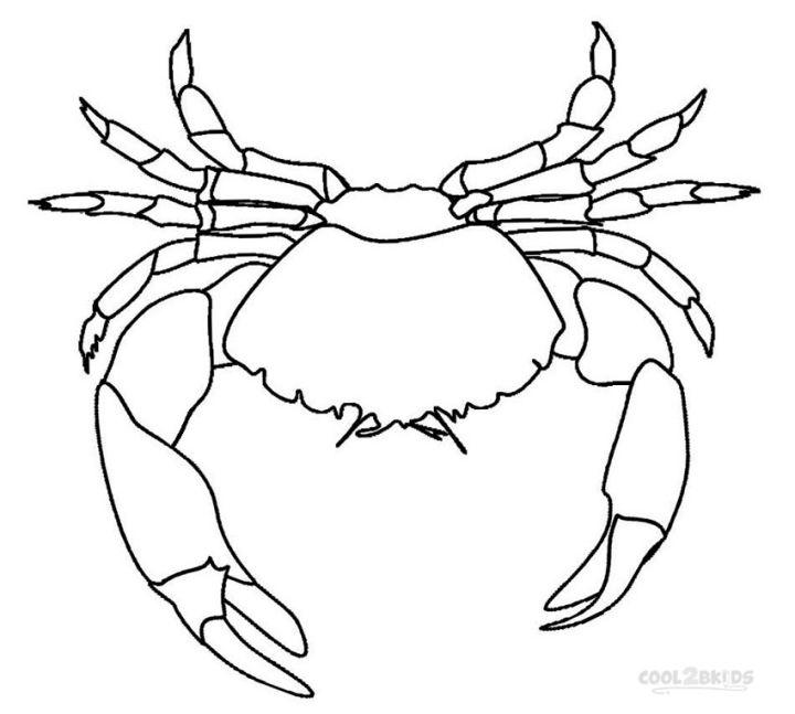 Crab Coloring Pages and Activities