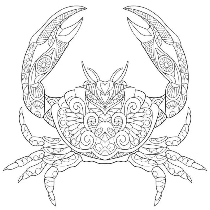 Crab Coloring Pages for Adults