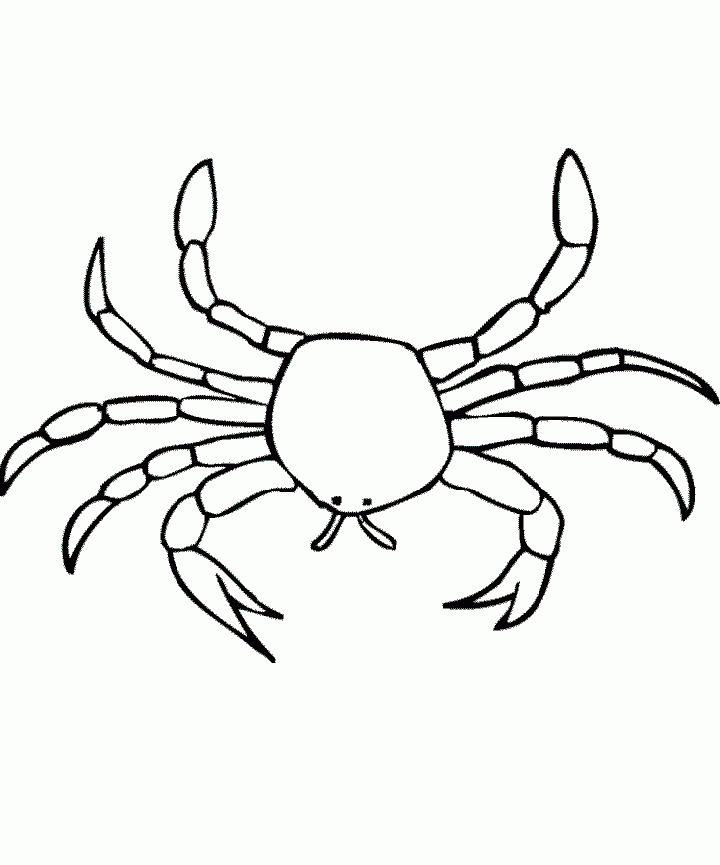 Crab Coloring Pages to Print
