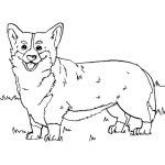 20 Cute Corgi Coloring Pages (Free Printable) - Blitsy