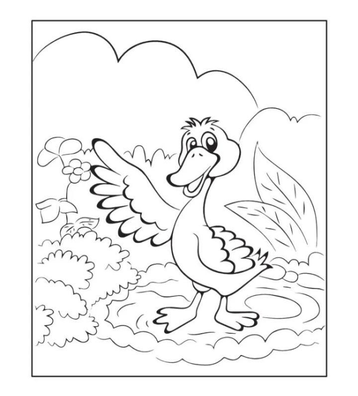 Cute Duck Pictures to Color