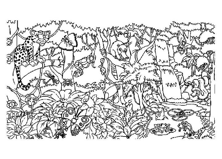 Cute Jungle Coloring Pages