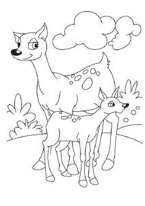25 Free Printable Deer Coloring Pages for Kids - Blitsy