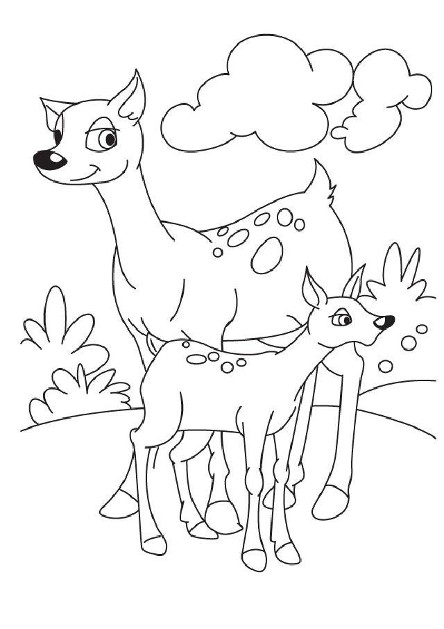 Deer Coloring Pages for Little Ones