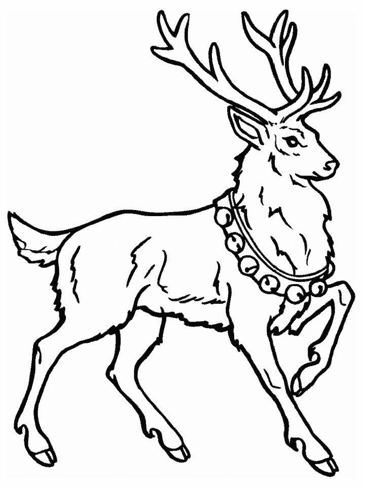 Deer Pictures to Color and Print