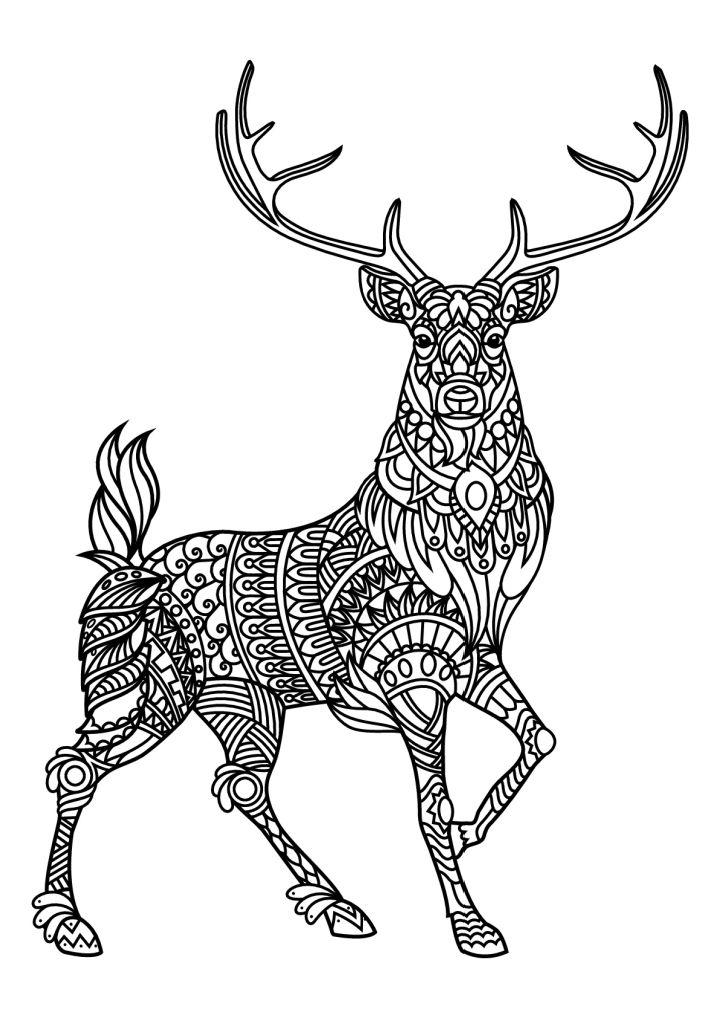 Deers Coloring Pages for Adults