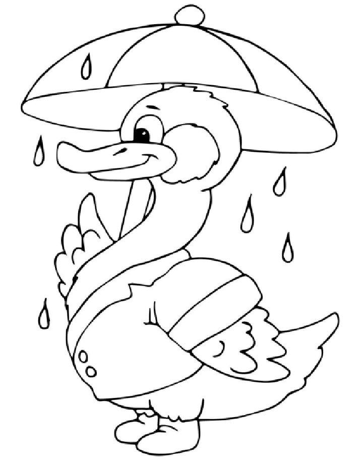 Duck Coloring Book Pages