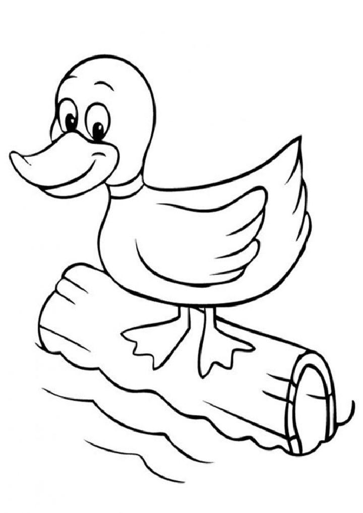 Duck Coloring Pages for Kids