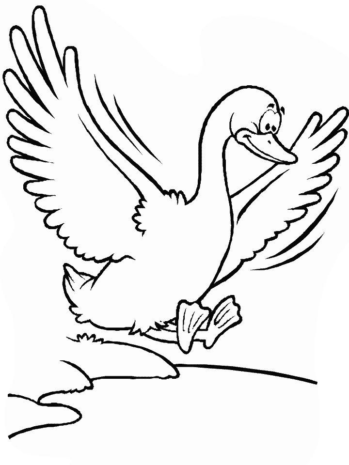 Printable Duck Pictures to Color