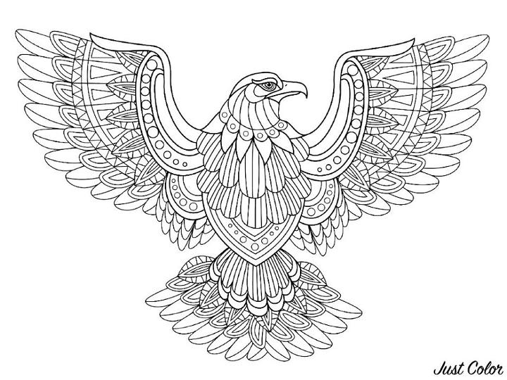 Eagle Coloring Pages and Activities