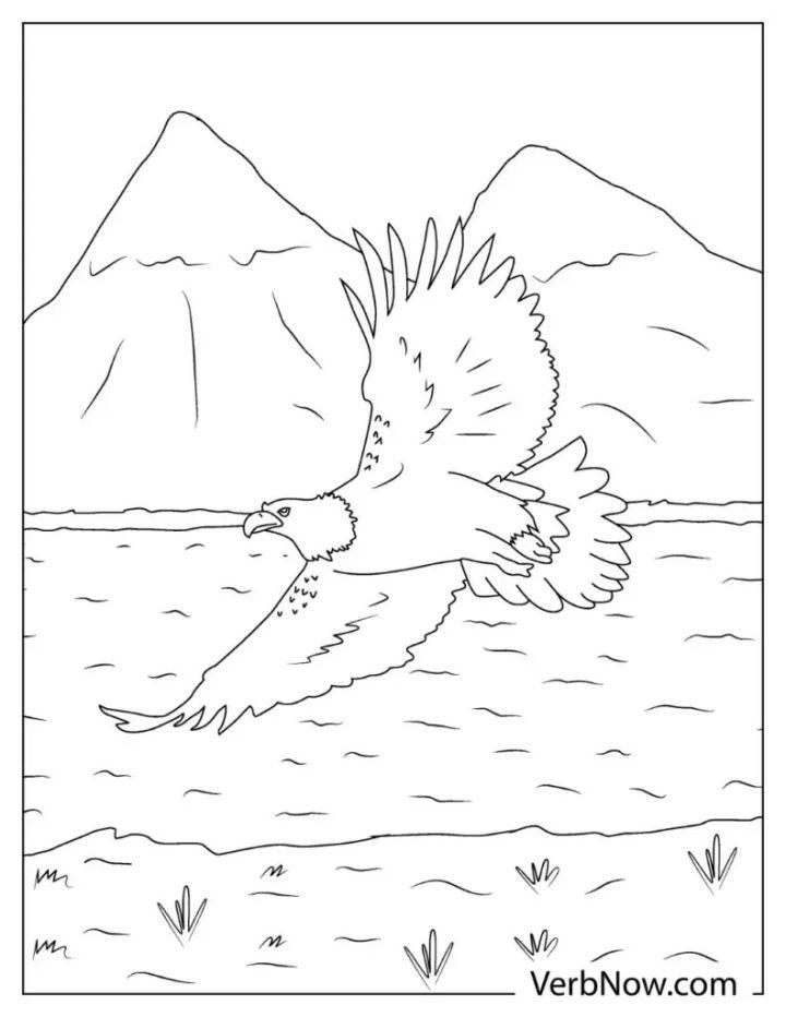 Eagle Coloring Pages for Adults
