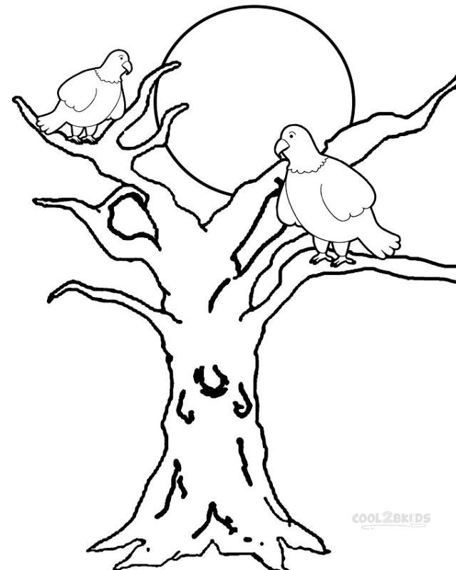 Eagle Coloring Pages for Toddlers