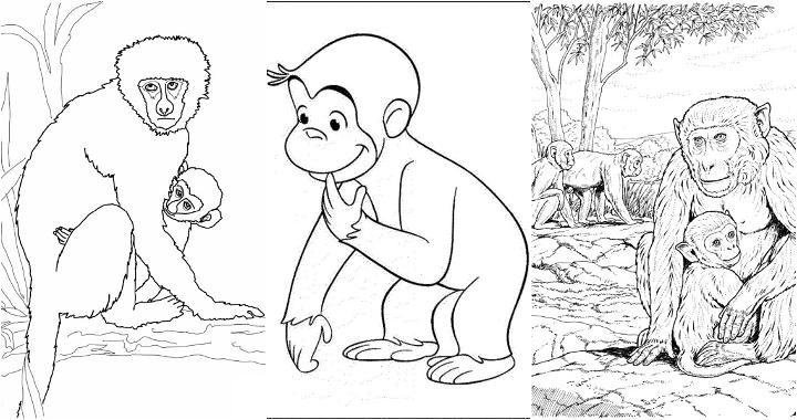 Easy And Free Monkey Coloring Pages To Print