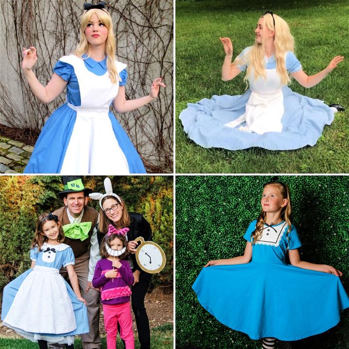 Alice In Wonderland Premium Costume For Girls | mail.napmexico.com.mx