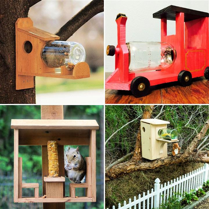 Easy DIY Squirrel Feeder Plans