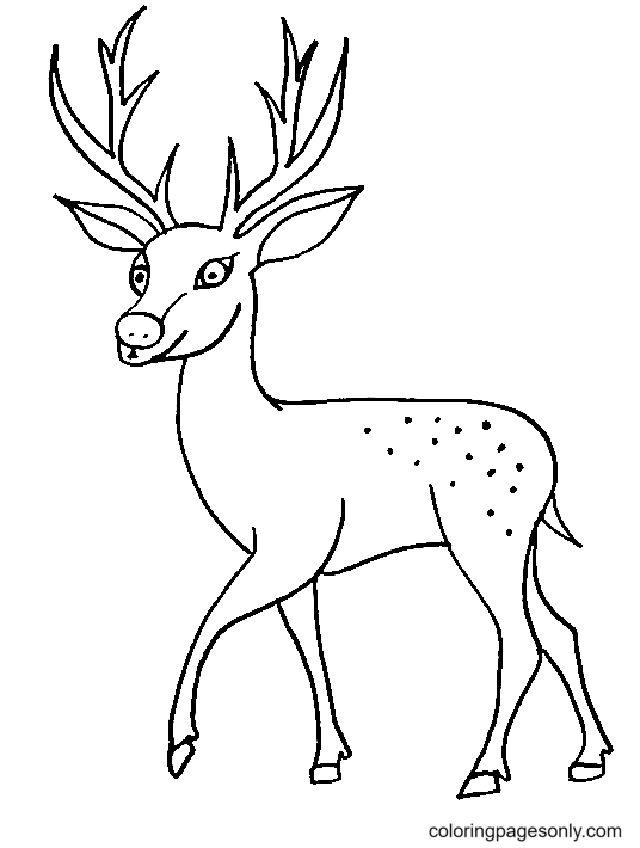 Easy Little Deer Coloring Page
