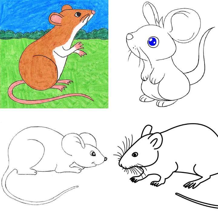 25 Easy Mouse Drawing Ideas - How to Draw a Mouse