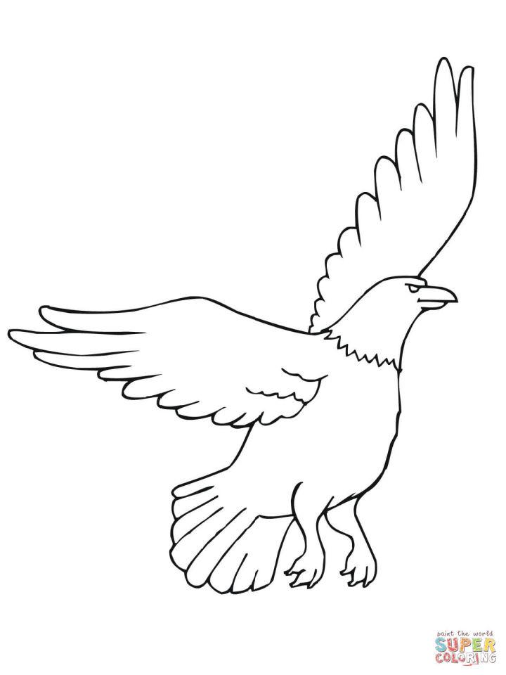 Free American Eagle Coloring Page