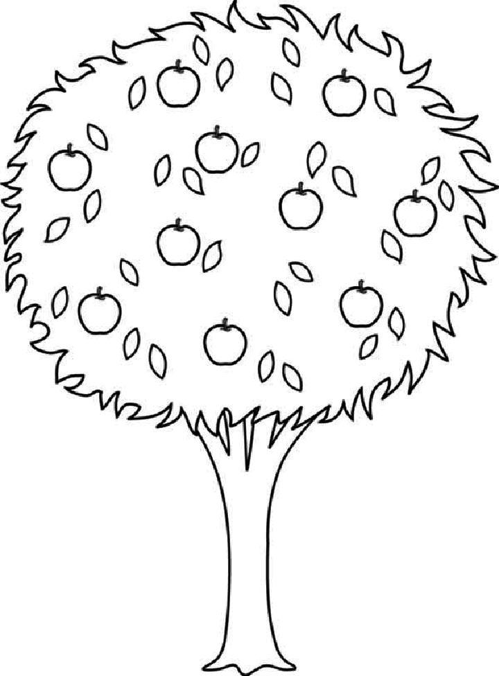 Free Apple Coloring Sheets
