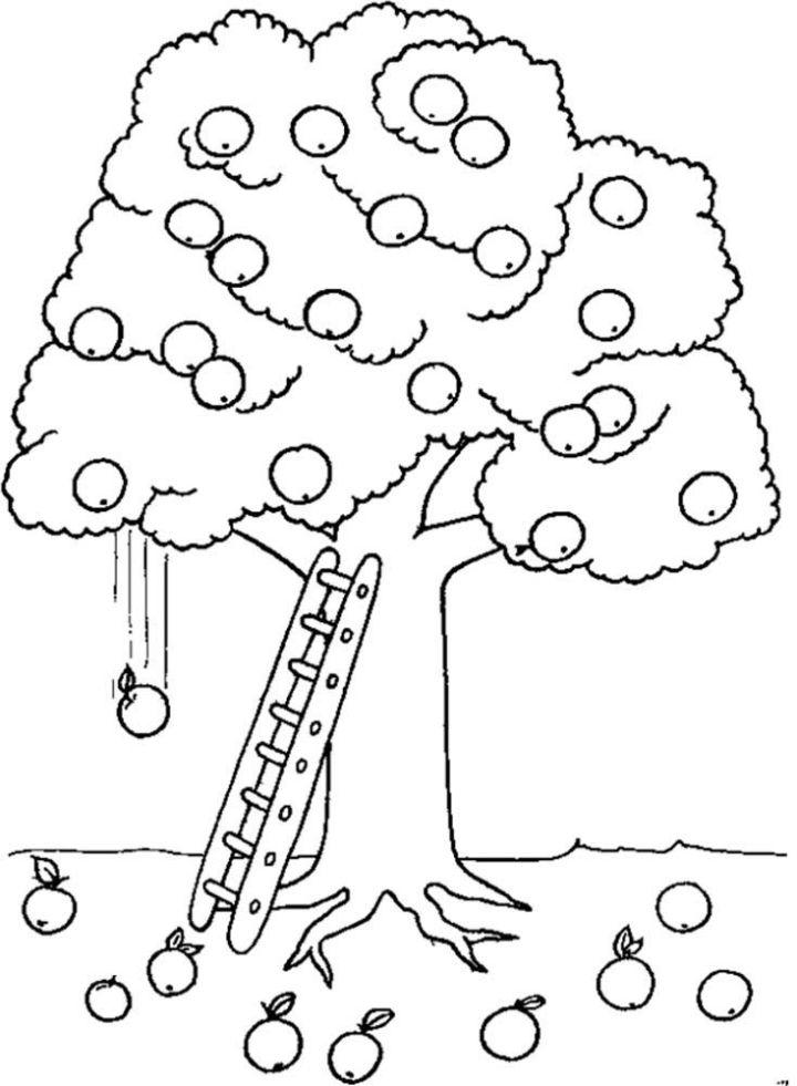 Free Apple Tree Coloring Pages