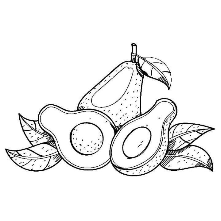Free Avocado Coloring Pages